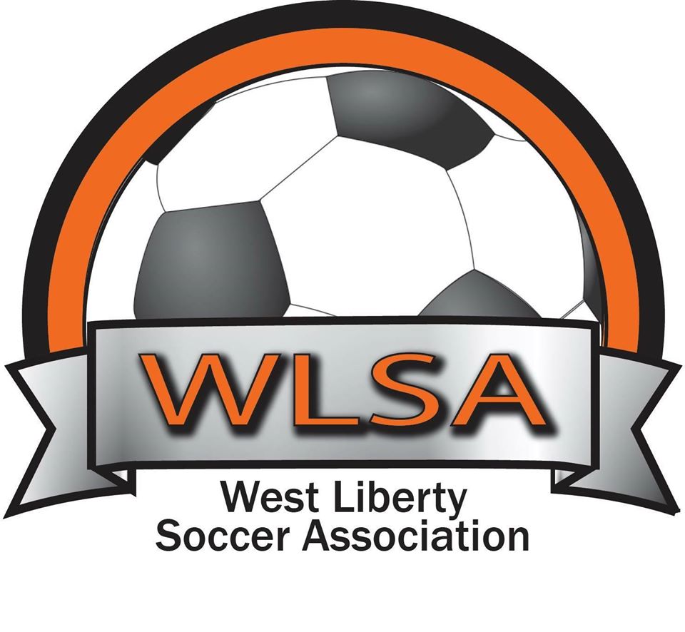 WLSA Logo